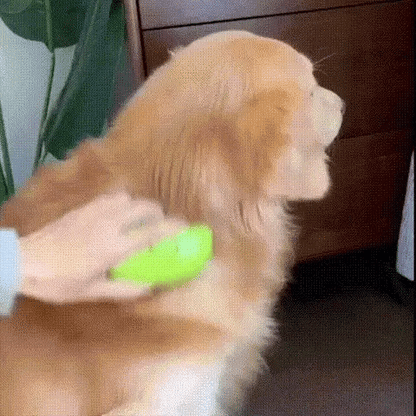 Cepillo Vapor Recargable para Mascotas